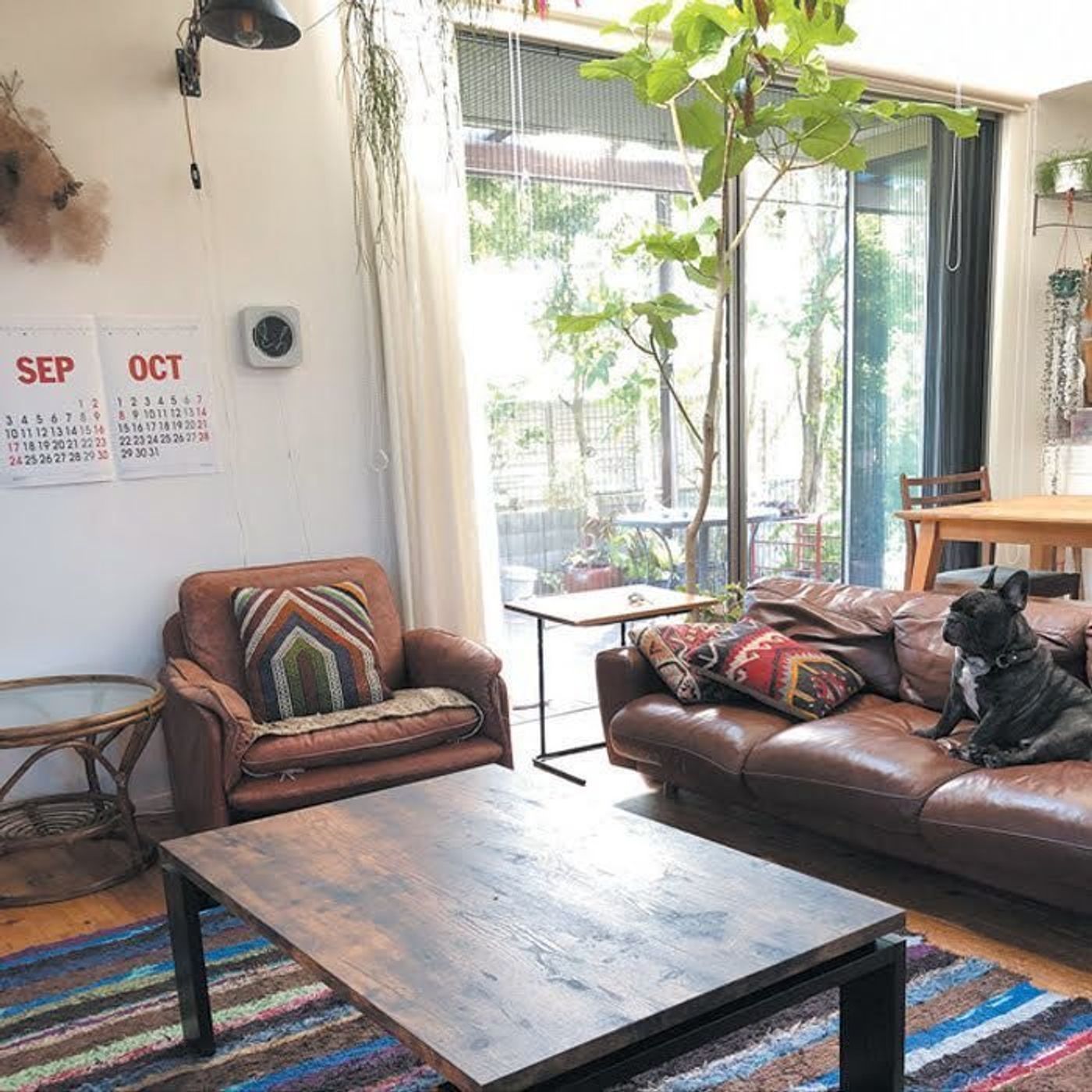 Roomclip いぬのきもち 犬と素敵に暮らす インテリア賞 発表 いぬのきもちweb Magazine Roomclip いぬのきもち 犬と素敵に暮らす インテリア賞 発表 いぬのきもちweb Magazine
