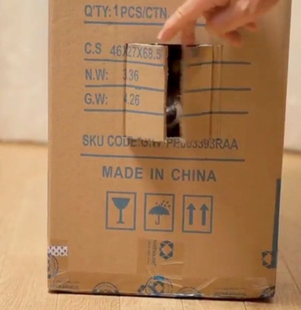 ダンボールを突き破る犬