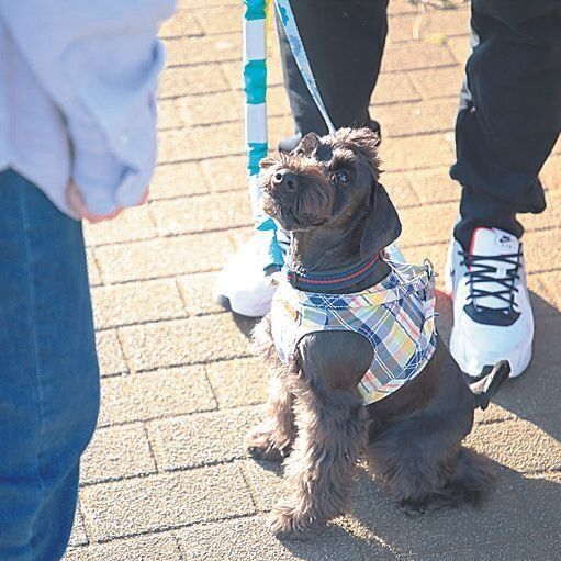 撮影／尾﨑たまき