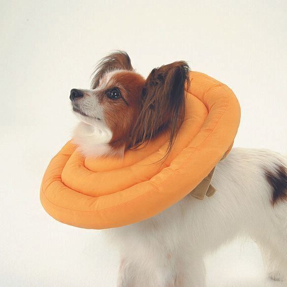 ソフトな素材も