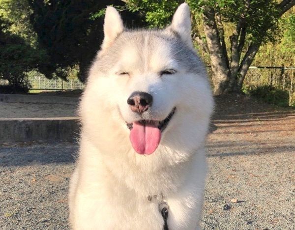 笑顔のシルビアちゃん