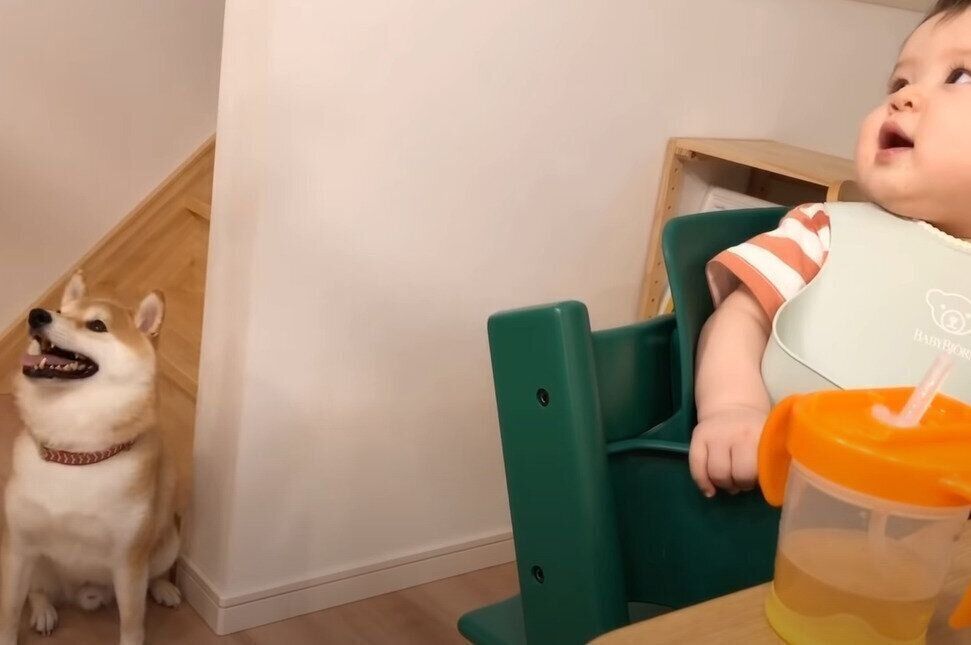 赤ちゃんとシンクロ