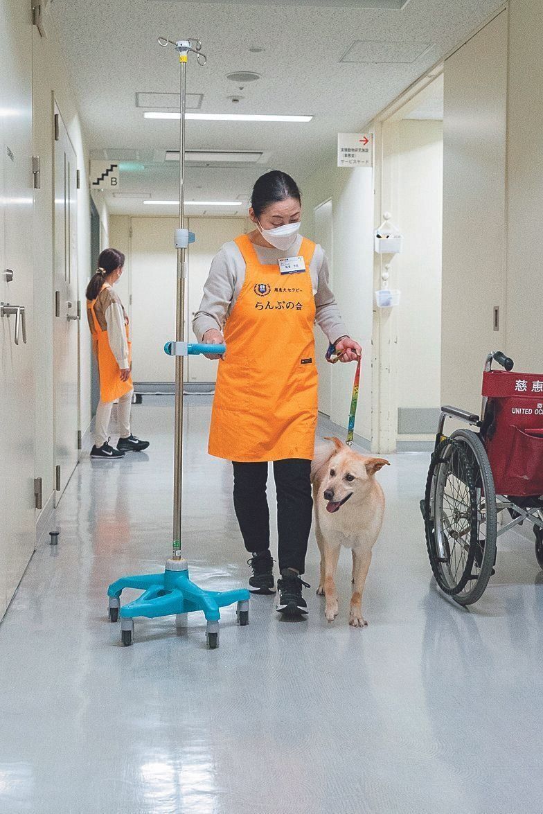 点滴棒を怖がらずに上手に横について歩く練習