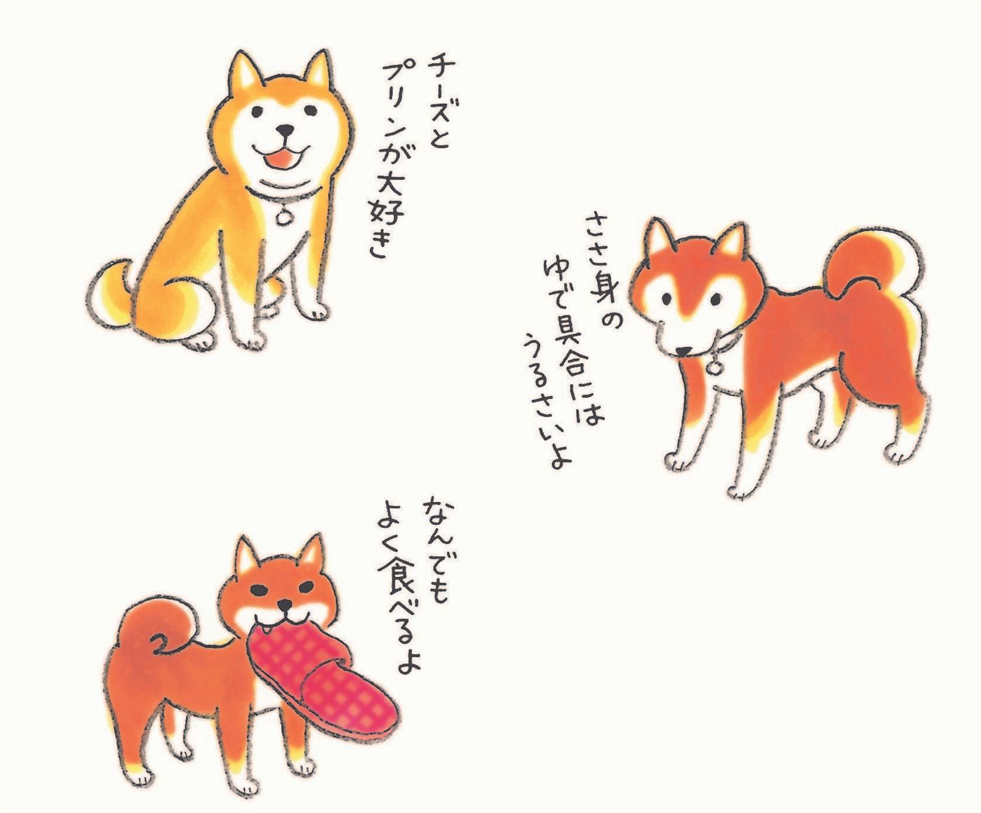 新短期連載 柴犬テツとこま Vol 1 テツとこま 登場人物 犬 ご紹介 いぬのきもちweb Magazine 新短期連載 柴犬テツとこま Vol 1 テツとこま 登場人物 犬 ご紹介 いぬのきもちweb Magazine