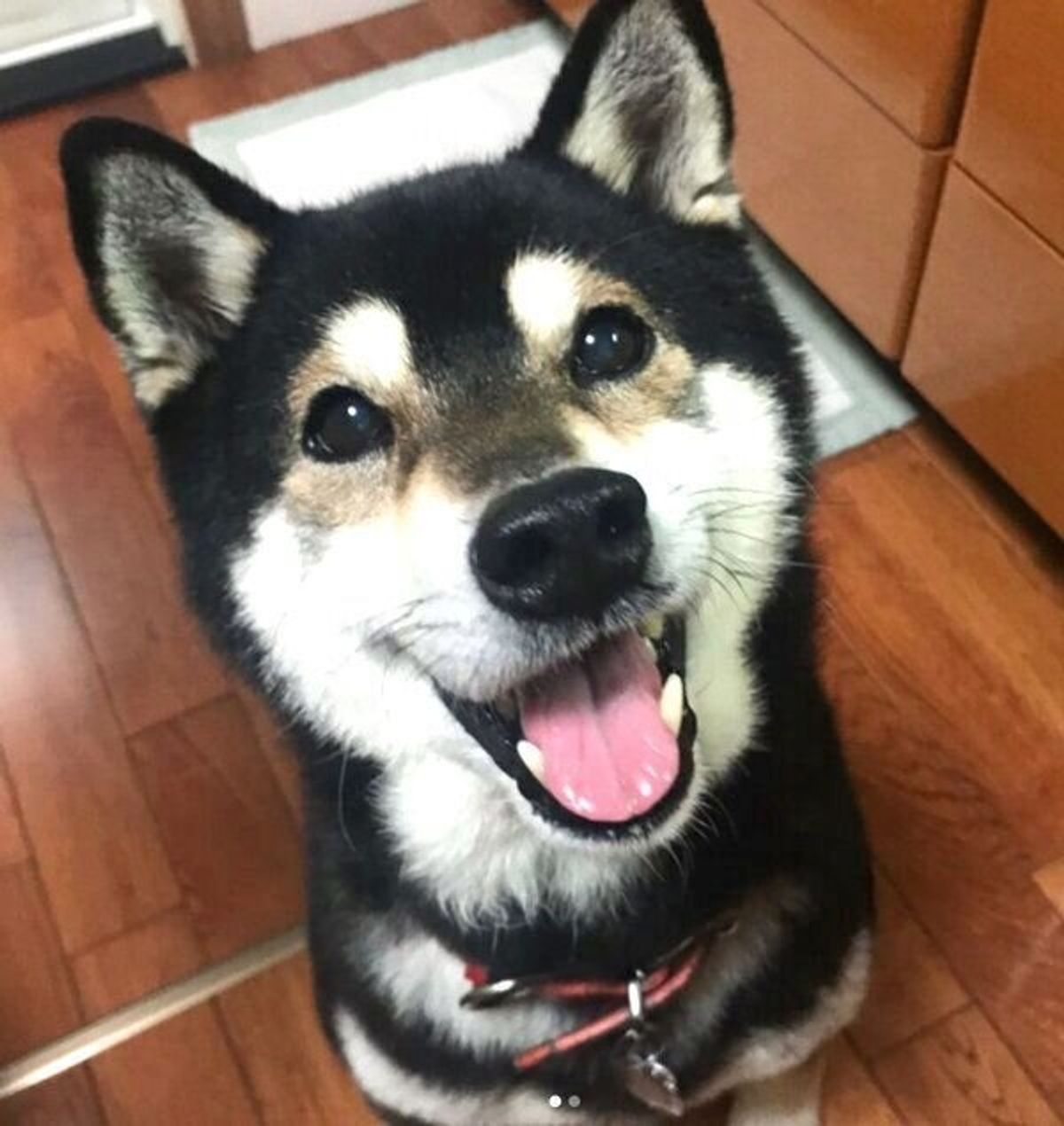 Npxjpt5snz4 Pm Npxjpt5snz4 Pm