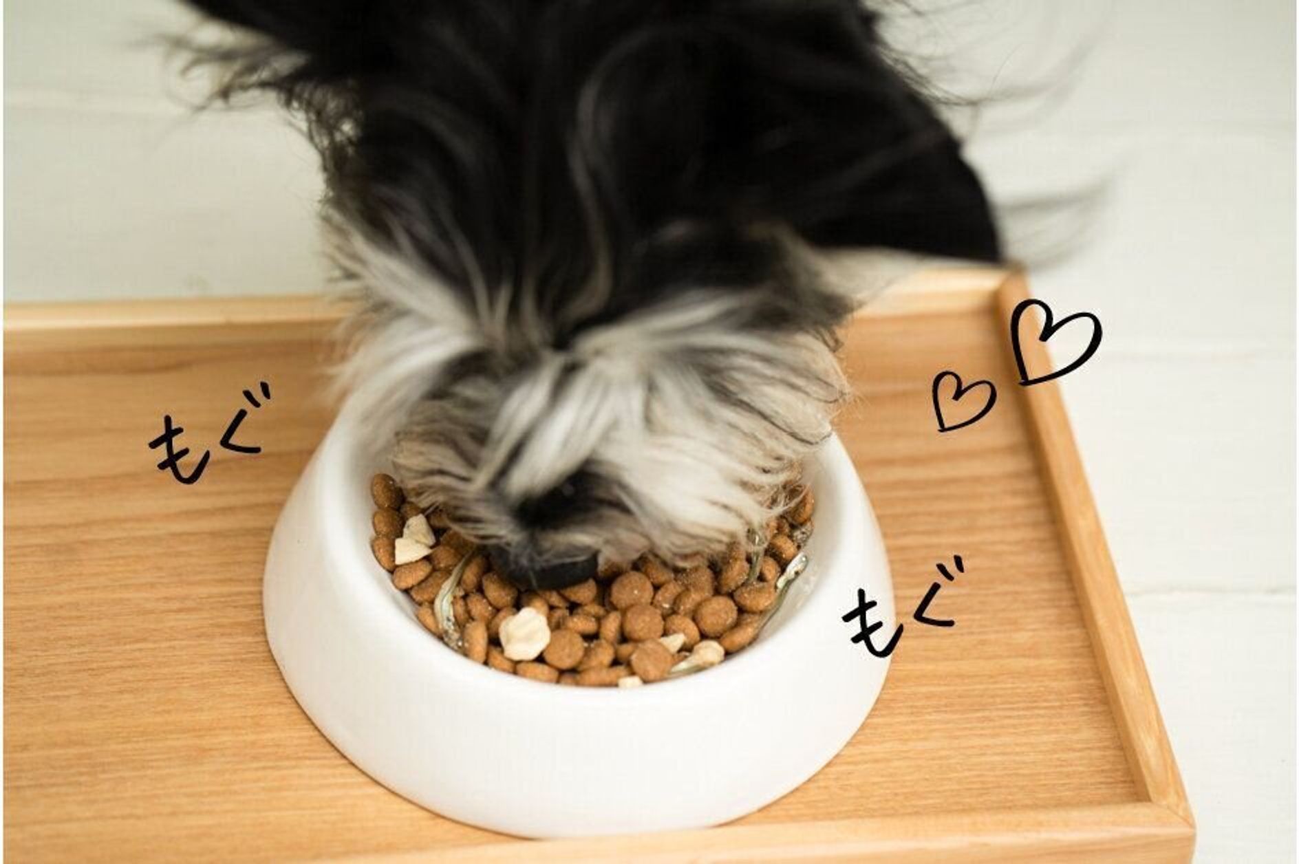 Pr うちのコの おいしい顔 が見たくて たどりついたのは国産の ピュアなフード でした いぬのきもちweb Magazine Pr うちのコの おいしい顔 が見たくて たどりついたのは国産の ピュアなフード でした いぬのきもちweb Magazine