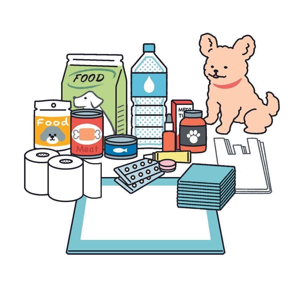 イラスト／井上明香