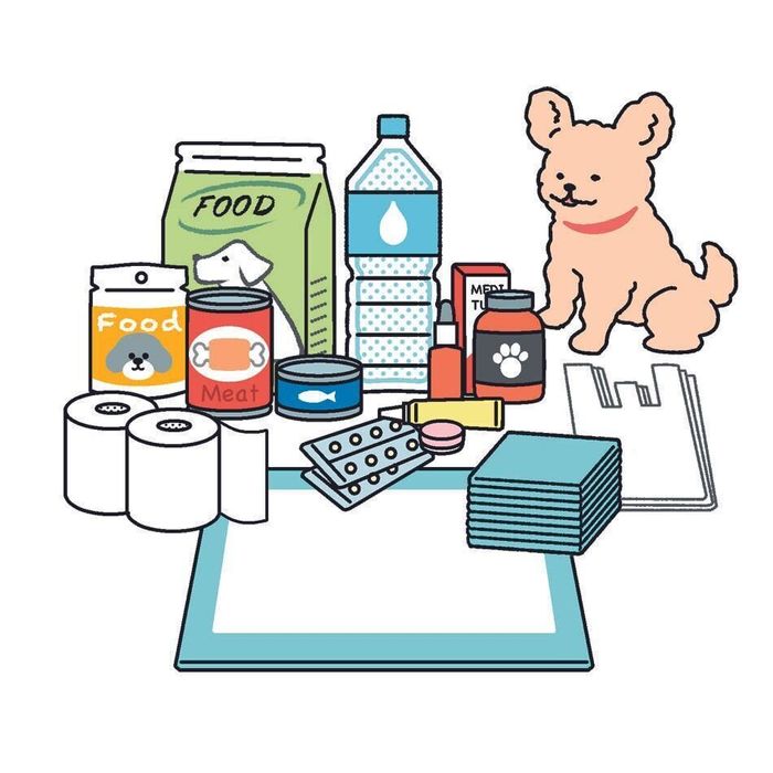 イラスト/井上明香