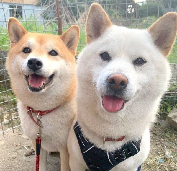 笑顔のみかんちゃんとQ太郎くん