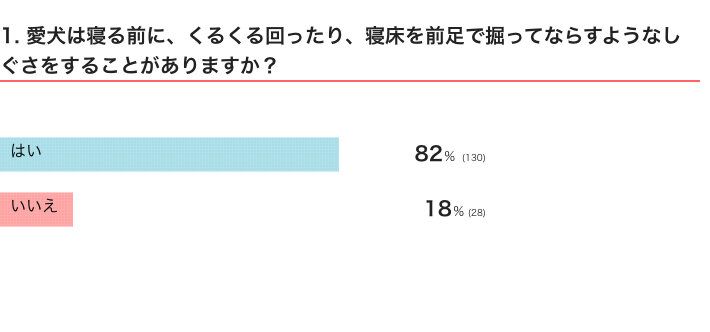 愛犬は寝る前に、くるくる回ったり、寝床を前足で掘ってならすようなしぐさをすることがある？