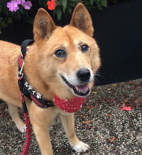 笑顔のルーさん