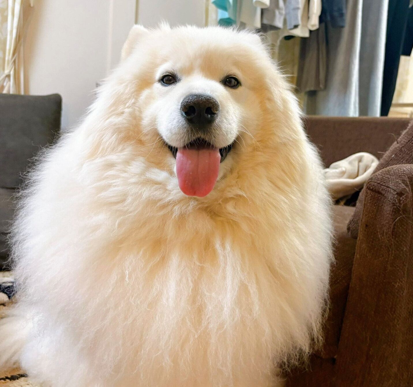 ニコニコ笑顔のサニーくん