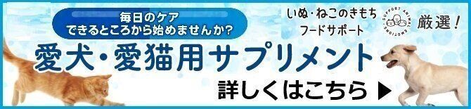 サプリメント