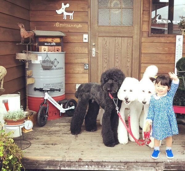 お外に行くくぅさん・りっくん・がっくん・まめちゃん