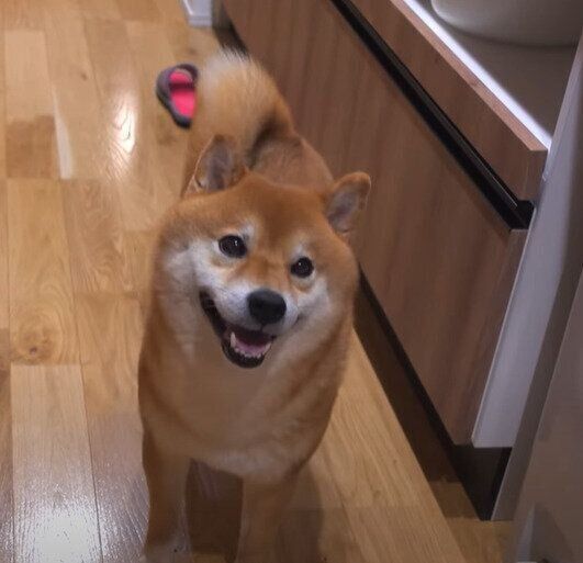 にやり……!