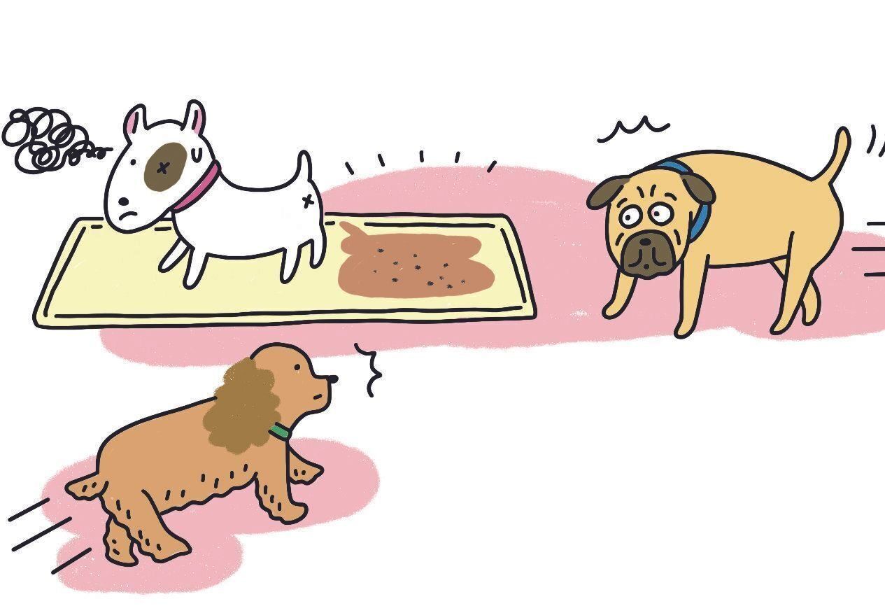 イラスト／ナカオテッペイ