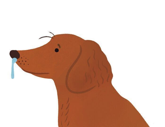 鼻からの分泌物