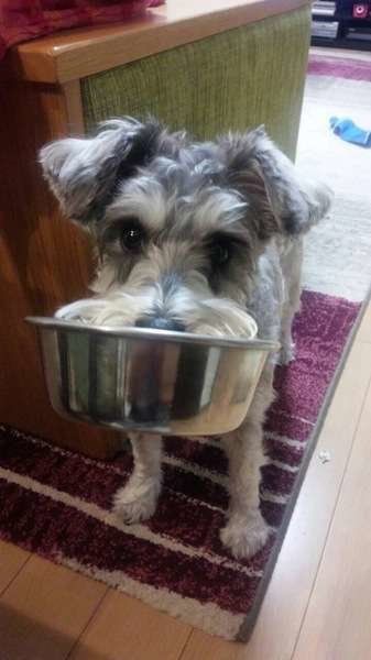 ごはんのお皿は自分で用意するよ！