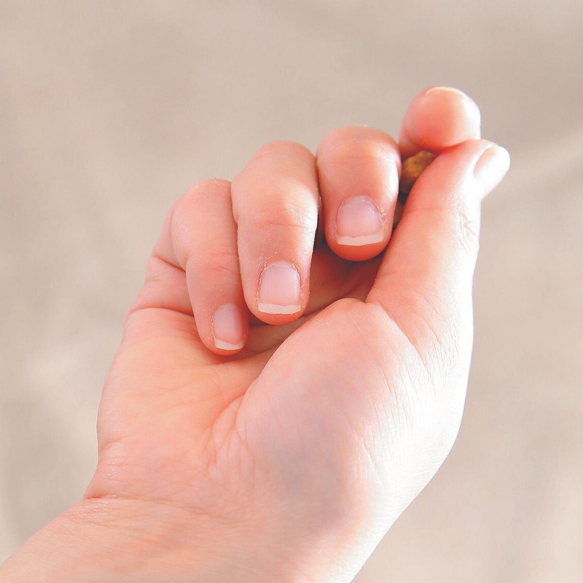 撮影／尾﨑たまき