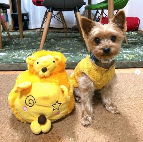 らいおん丸と仲良しな豆太くん