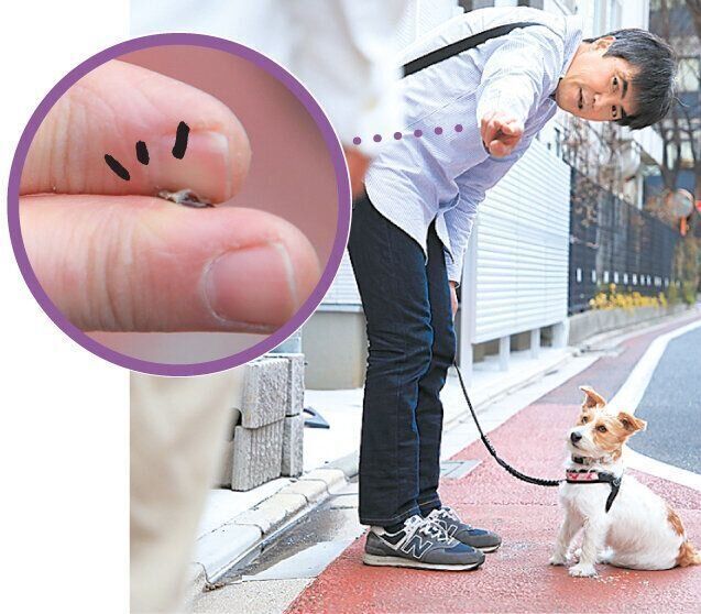 犬のアイコンタクトの練習