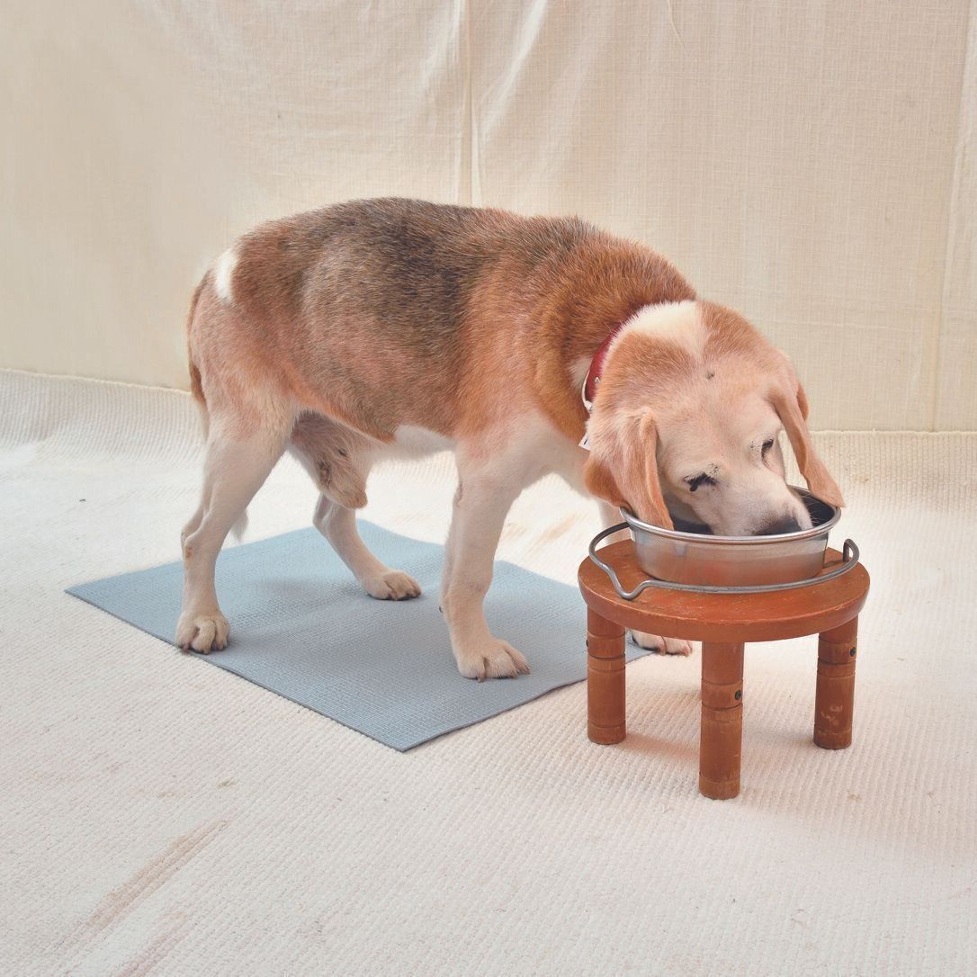 ヨガマットなどの滑り止めになるものを敷いても