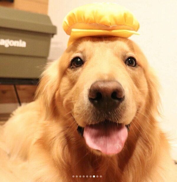 笑顔のモッシュくん