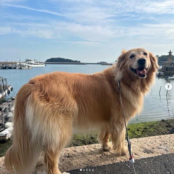 笑顔が可愛いハルちゃん