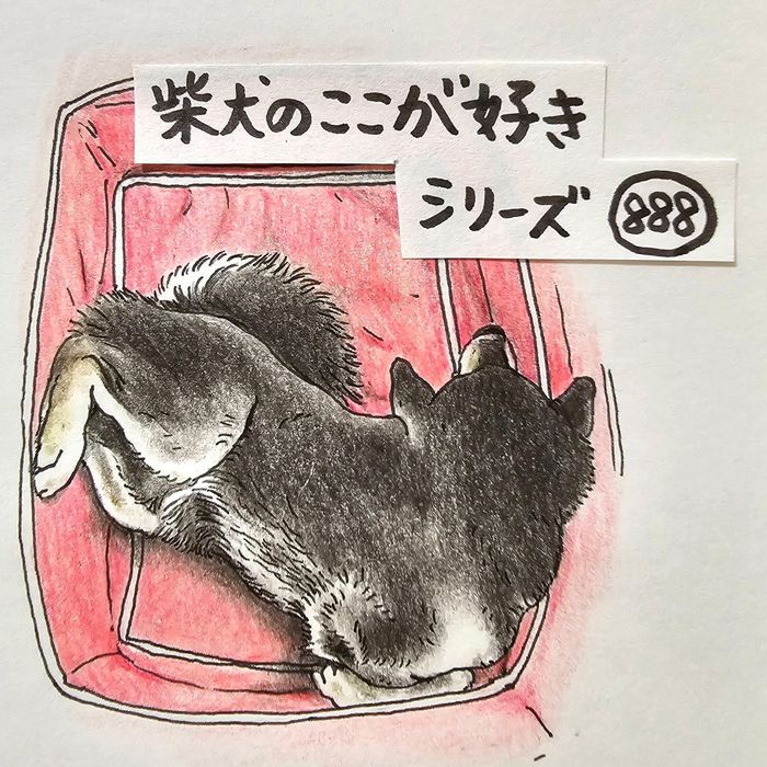 kokoshiba289