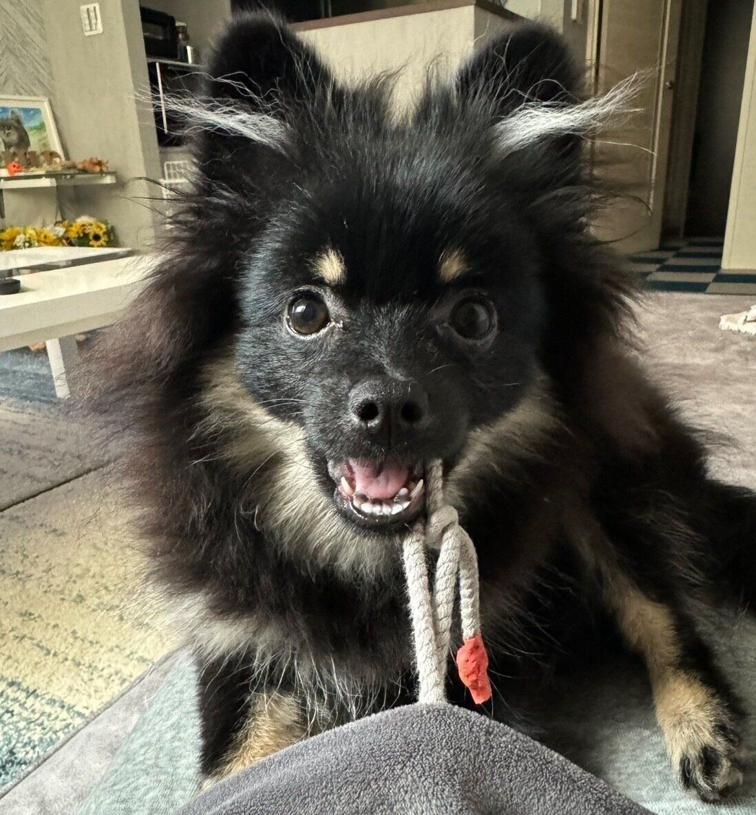 可愛らしい笑顔を見せるひまわりちゃん