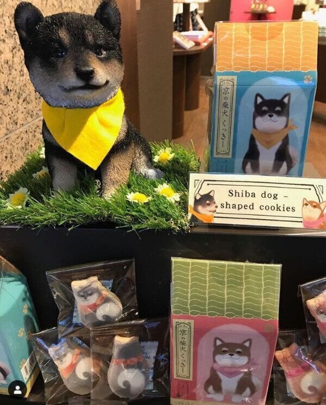 可愛すぎて食べられない の声も 犬モチーフのスイーツに癒される 犬好きさんへのバレンタインにも いぬのきもちweb Magazine 可愛すぎて食べられない の声も 犬モチーフのスイーツに癒される 犬好きさんへのバレンタインにも いぬのきもちweb Magazine