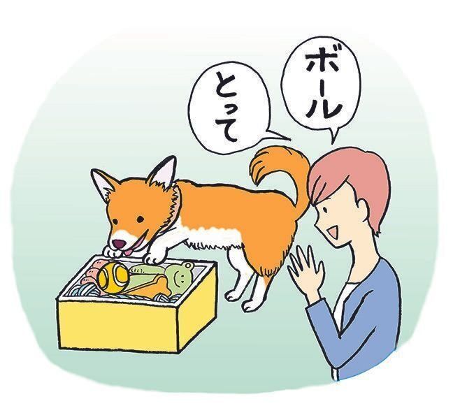 イラスト／西イズミ