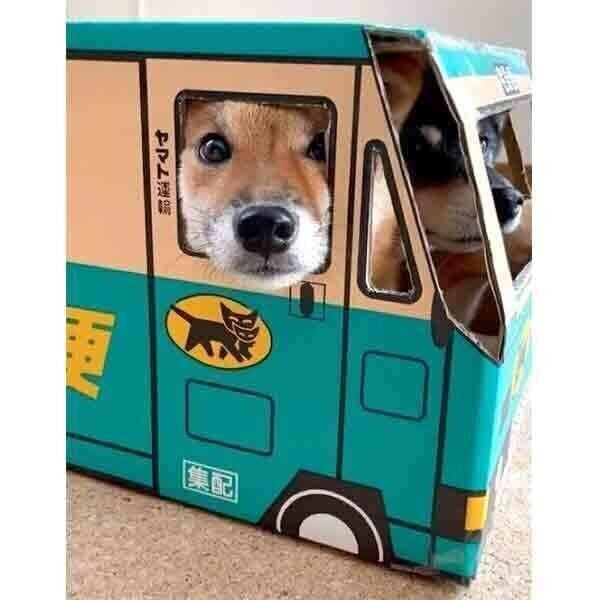 ウォークスルーボックスの中に入るみくちゃん、りなちゃん