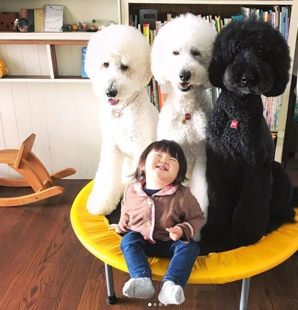 トランポリンに乗るくぅさん・りっくん・がっくん・まめちゃん