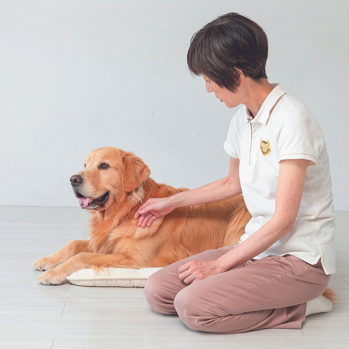 犬の顔よりやや後ろで並んで行う