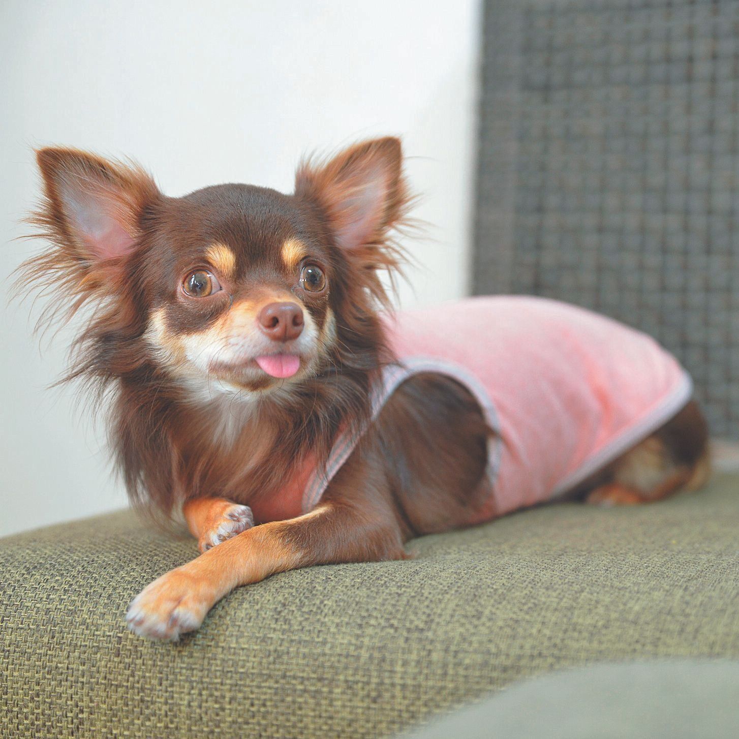 1才7カ月になったタルトくん