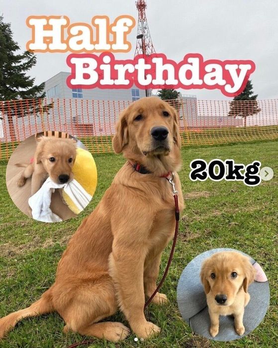 生後6カ月頃のメイちゃん