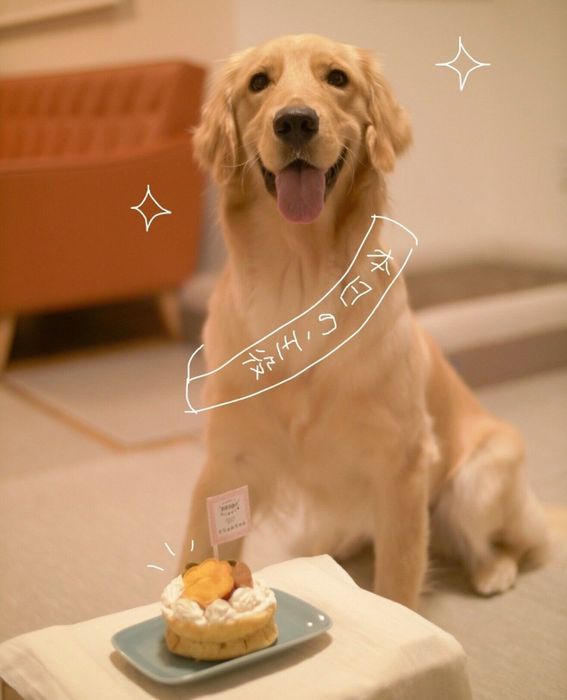 1才の誕生日のときのミシェルちゃん