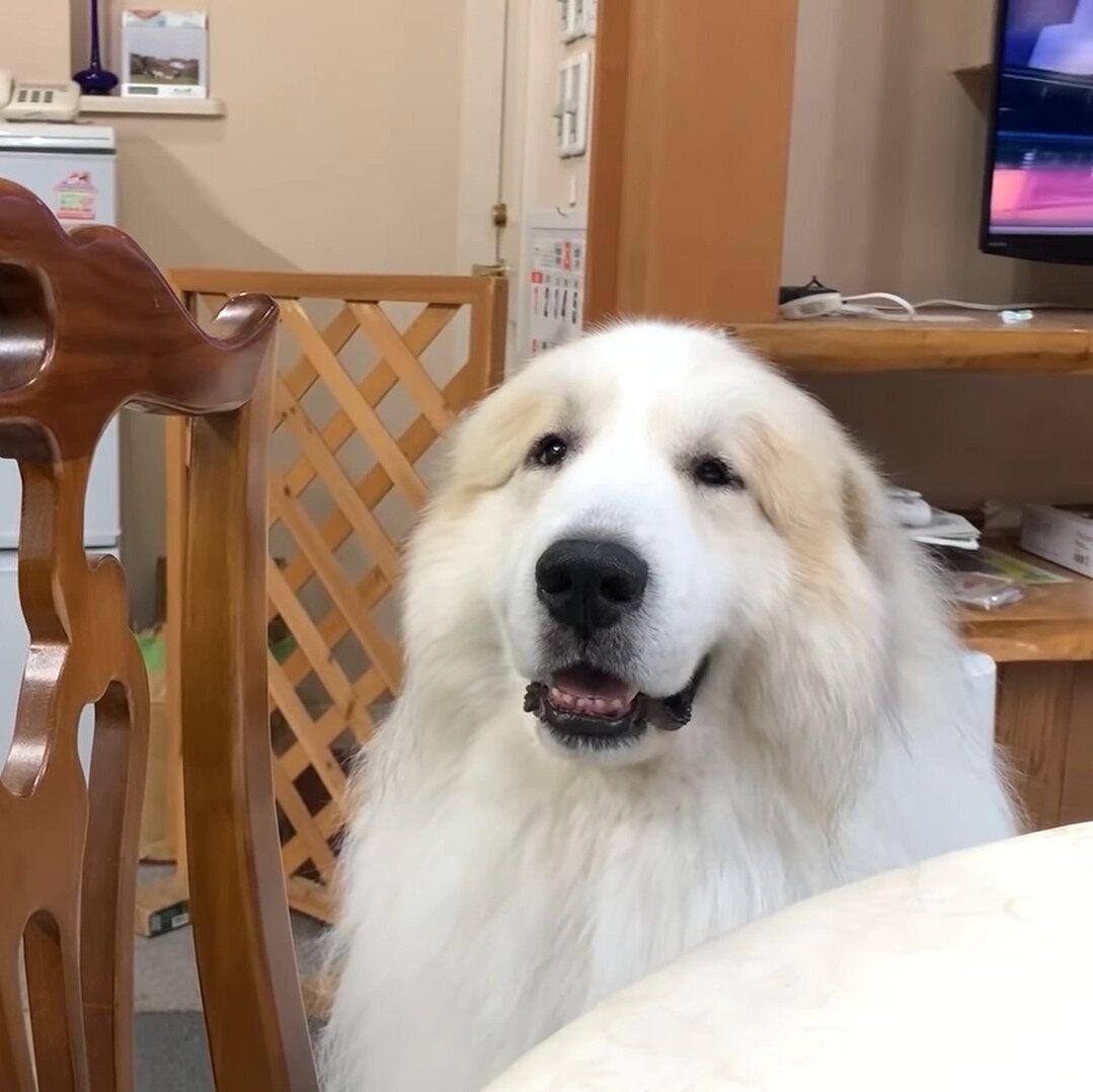 話に耳をかたむけるアラン君