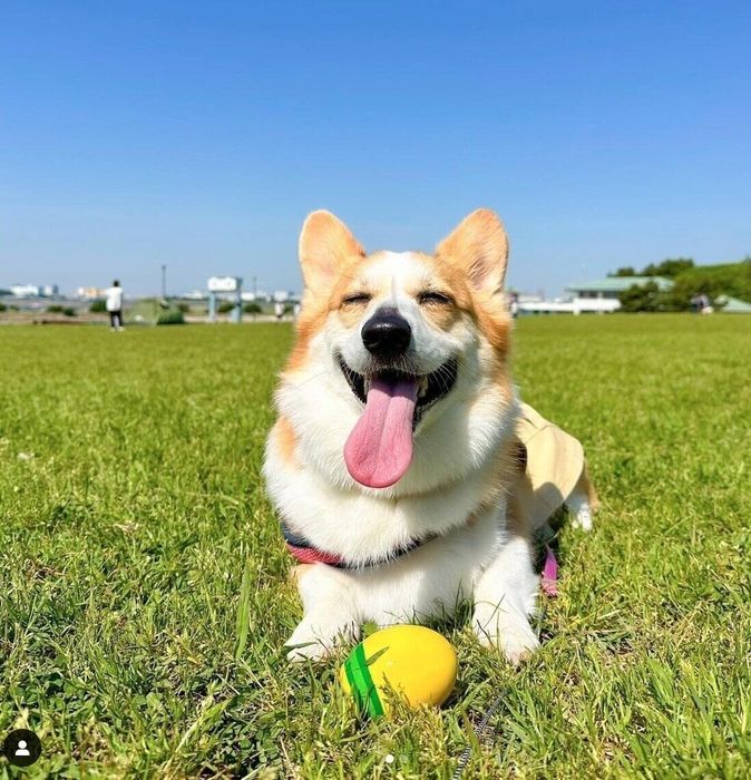 楽しそうな優ちゃん