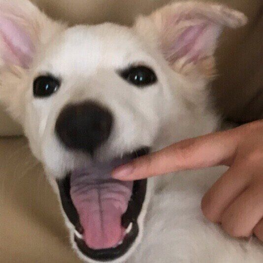 お口をチェック。彩夢