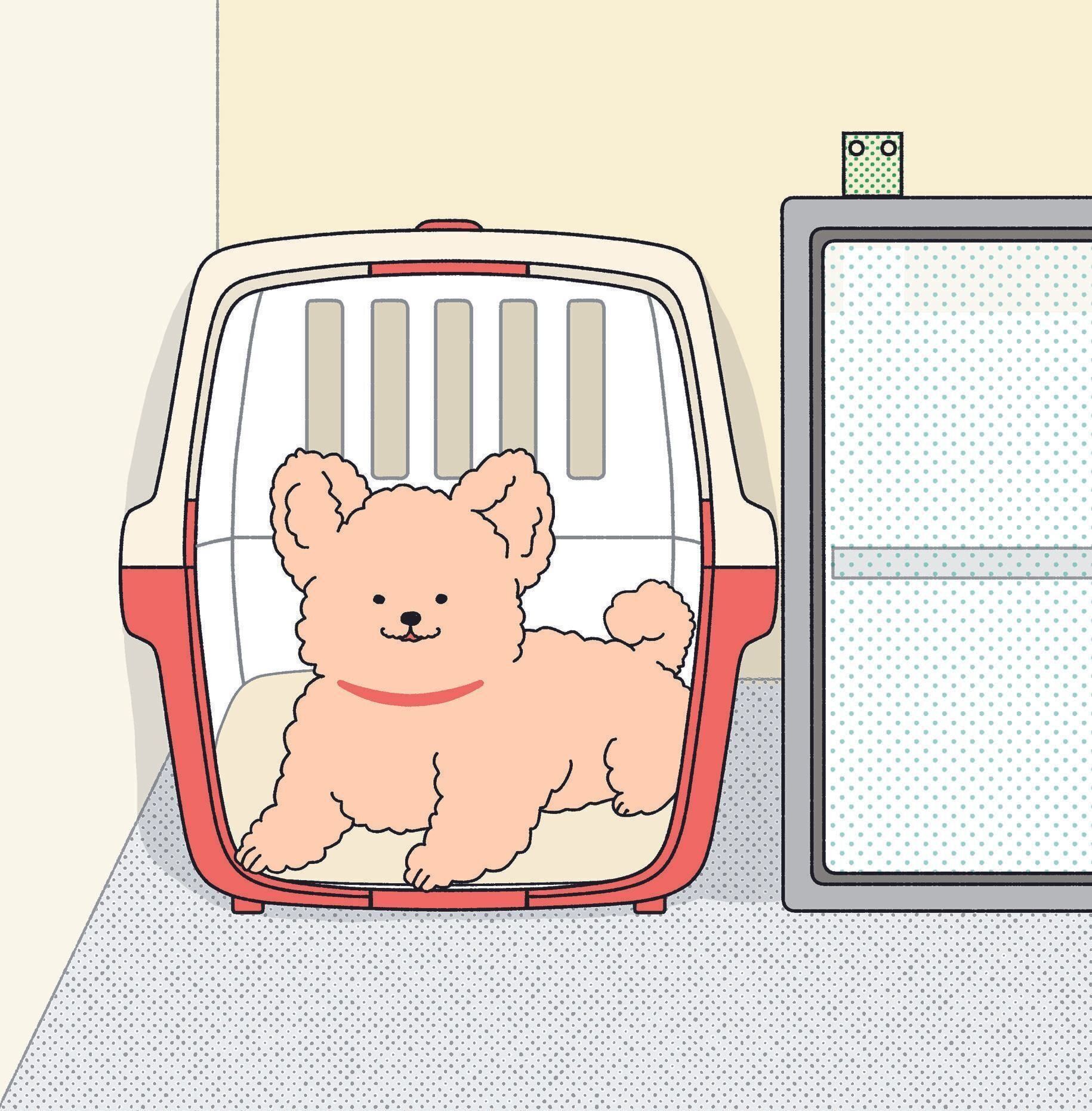 イラスト／井上明香