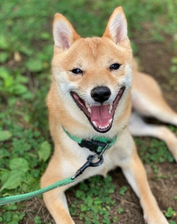 笑顔が可愛いけんたくん