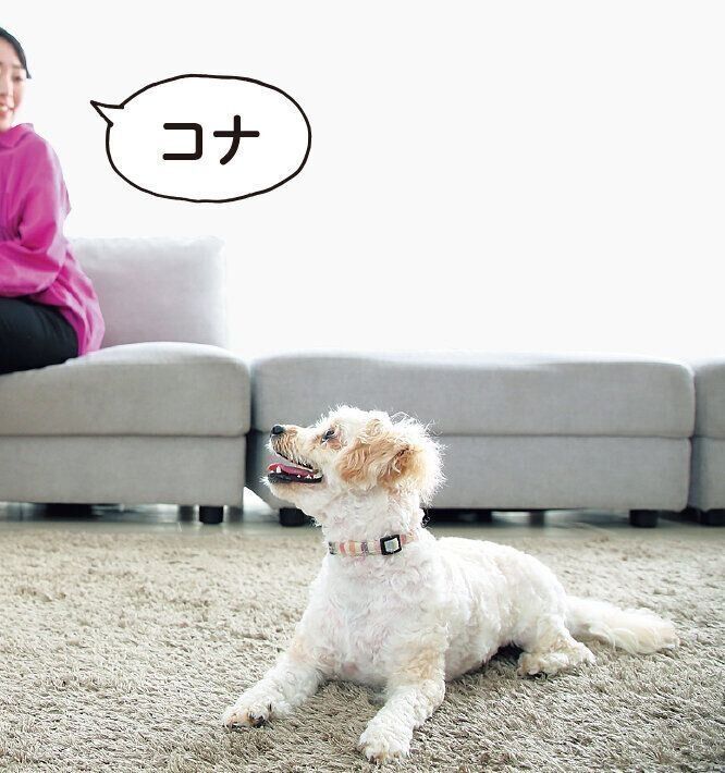 撮影／尾﨑たまき