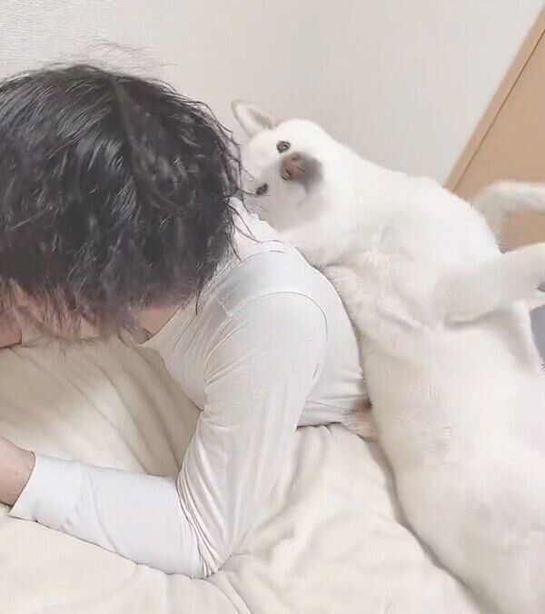 スリスリ癖のあるもち吉くん