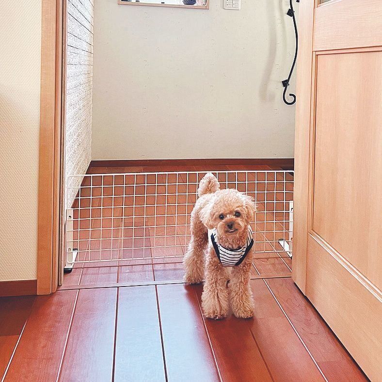 写真提供／神奈川県 M.K.さん