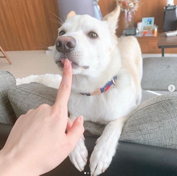 飼い主さんに甘えるレオンくん