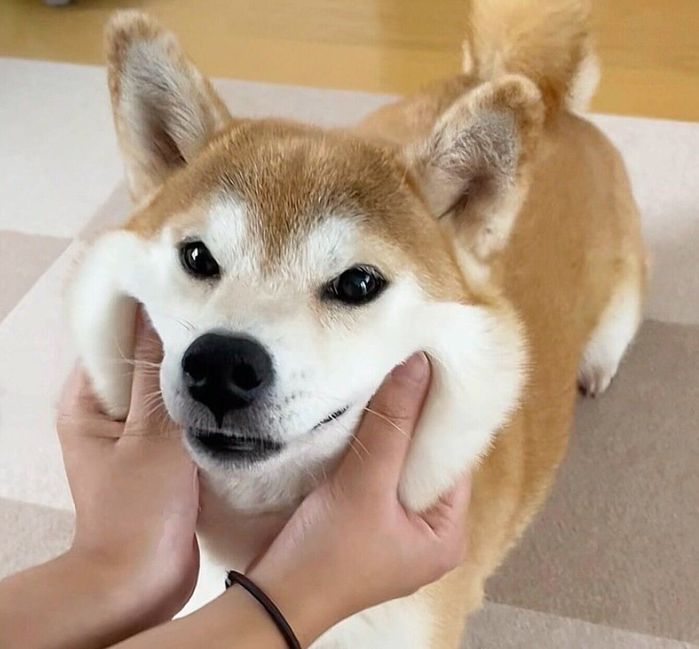 ほっぺがモチモチなももちゃん