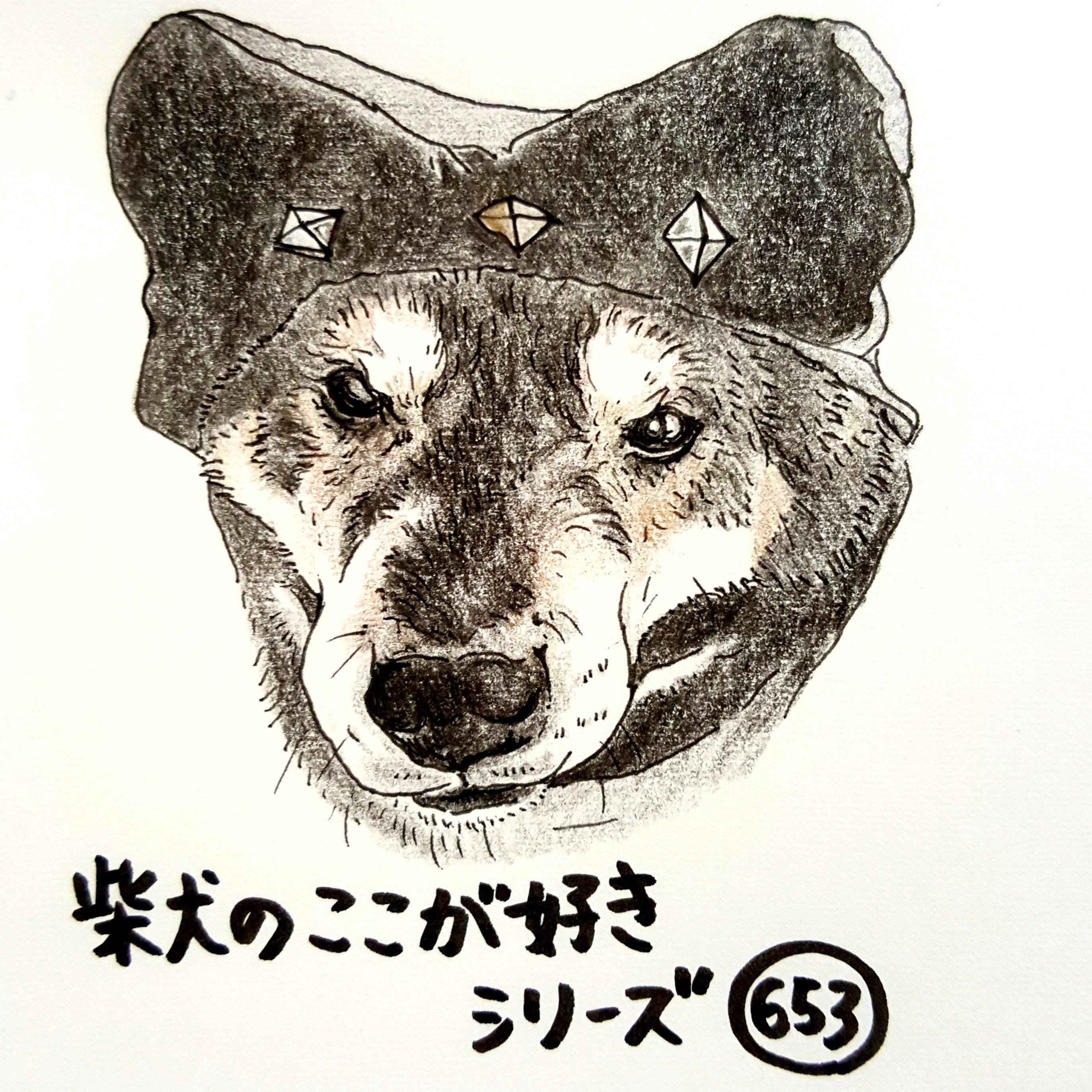 柴犬あるある 頭巾に三角の耳がぴったりはまるところ 連載 ここ掘れここ柴 Vol 53 いぬのきもちweb Magazine