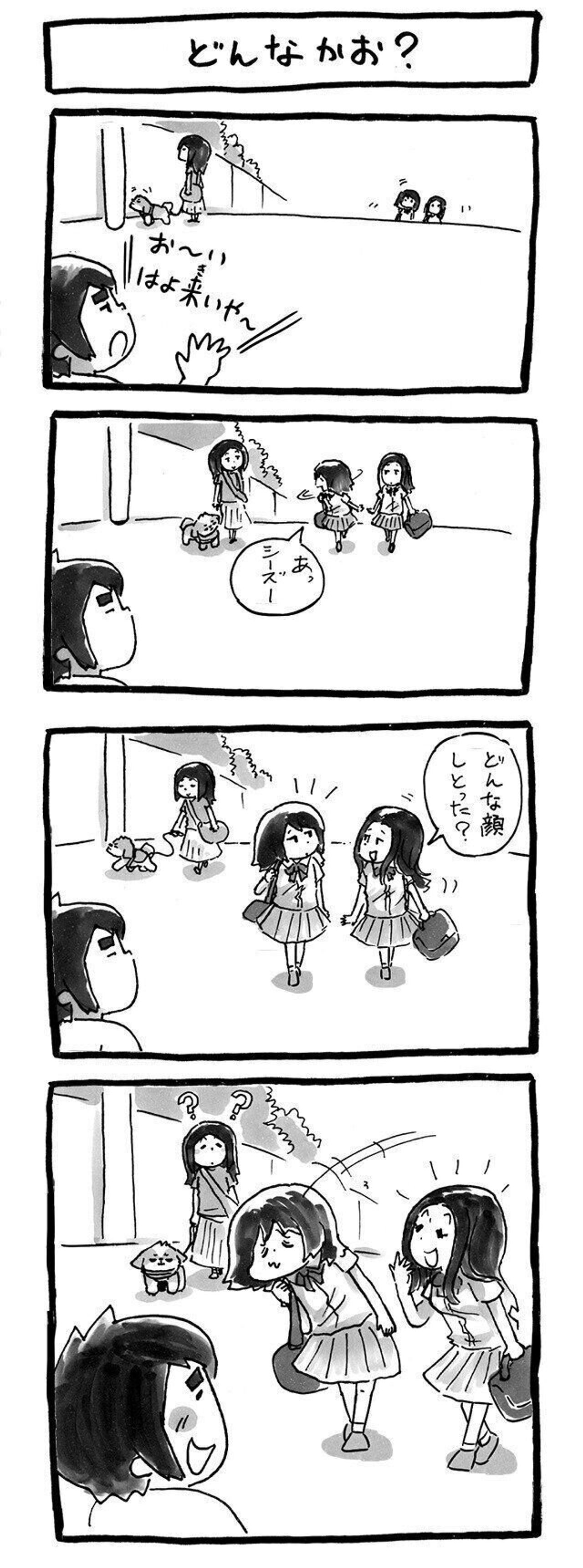 シー ズーの顔ってどんなかお 連載 シーズー犬のてんぽ 第95回 いぬのきもちweb Magazine シー ズーの顔ってどんなかお 連載 シーズー犬のてんぽ 第95回 いぬのきもちweb Magazine